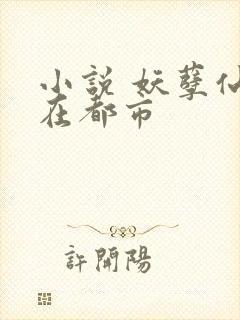 小说 妖孽仙皇在都市