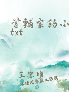 首辅家的小娇娘txt