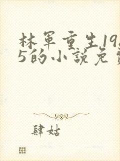 林军重生1985的小说免费阅读全文