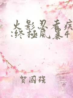 火影忍者疾风传:终极风暴4