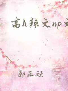 高h辣文np文