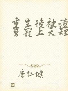 重生后被渣男舅舅宠上天短剧大结局