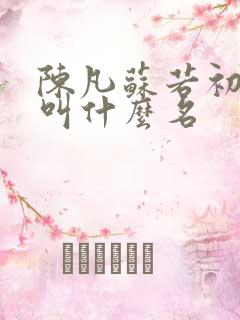 陈凡苏若初小说叫什么名