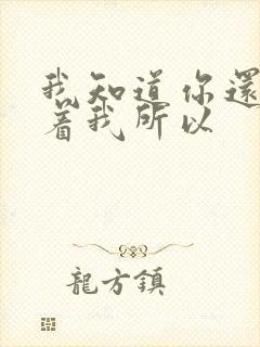 我知道你还是爱着我所以