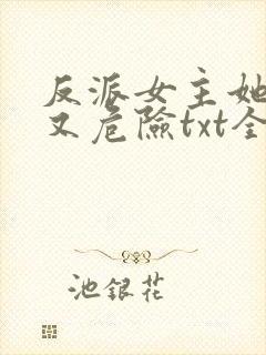 反派女主她迷人又危险txt全文下载