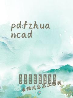 pdfzhuancad
