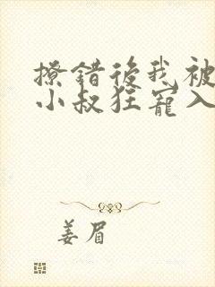 撩错后我被渣男小叔狂宠入骨