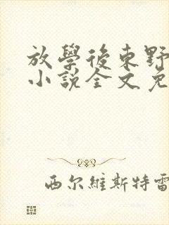 放学后东野圭吾小说全文免费阅读