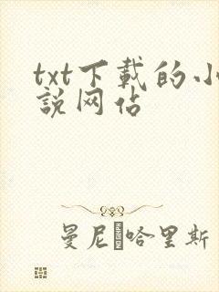 txt下载的小说网站