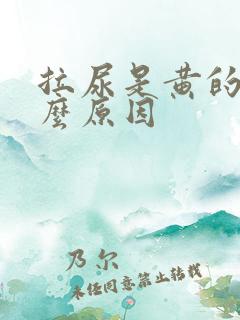 拉尿是黄的是什么原因