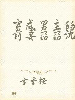 穿成男主的炮灰前妻窈窈沈阶