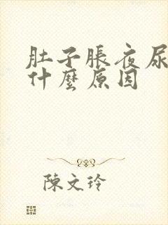 肚子胀夜尿多是什么原因