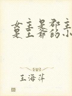 女主是郡主男主是王爷的小说