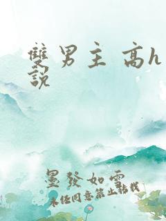 双男主 高h小说