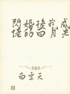 闪婚后我成了大佬的白月光