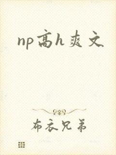 np高h爽文