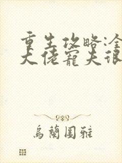 重生攻略:全能大佬宠夫很嚣张