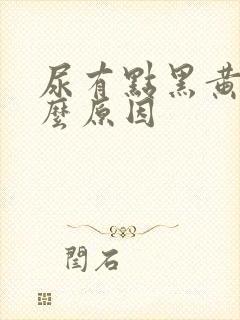 尿有点黑黄是什么原因