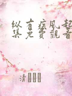 纵有疾风起40集免费观看下载