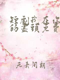 短剧我在你人生的尽头免费观看