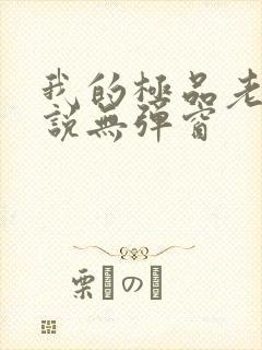 我的极品老婆小说无弹窗