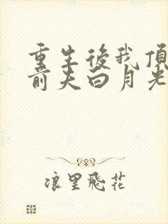 重生后我顶替了前夫白月光畅听