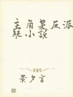 主角是反派的系统小说