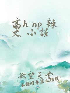 高h np 辣文 小说