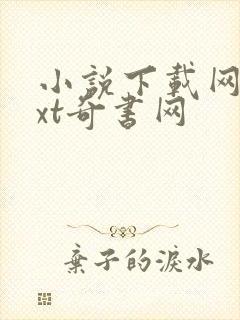 小说下载网站txt奇书网