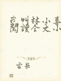 我叫林小喜免费阅读全文小说