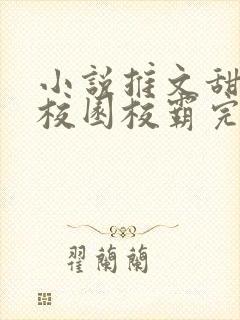 小说推文甜宠文校园校霸完结文