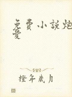 免费小说炮灰真爱