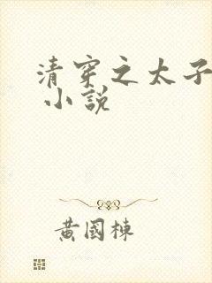 清穿之太子娇妃 小说