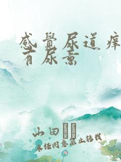 感觉尿道痒痒的有尿意