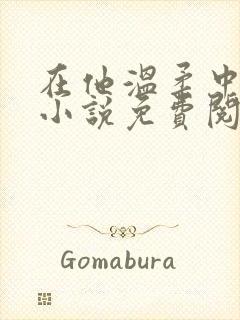 在他温柔中陷落小说免费阅读无弹窗