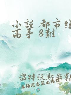 小说 都市绝品高手 8难