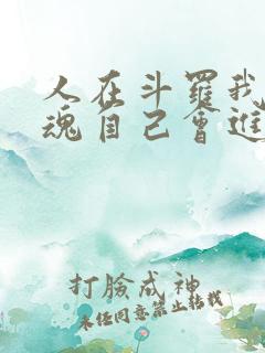 人在斗罗我的武魂自己会进化小说免费