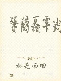 张扬夏雪小说免费阅读下载