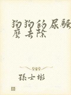 狗狗的尿骚味怎么去除