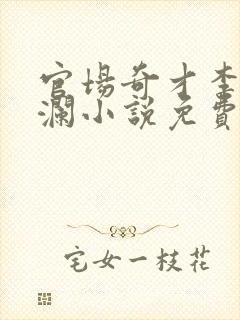 官场奇才李霖李澜小说免费阅读