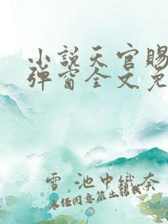 小说天官赐福无弹窗全文免费阅读