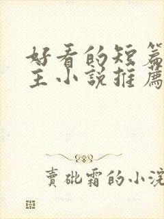 好看的短篇双男主小说推荐