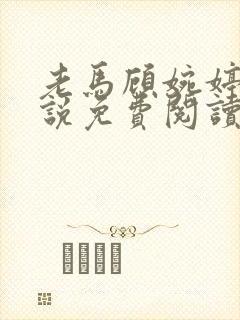 老马顾婉婷的小说免费阅读笔趣阁