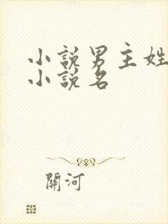 小说男主姓黑的小说名