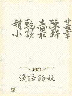 赵乾志陈芸穿越小说最新章节列表