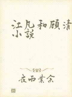 江凡和顾清雪的小说