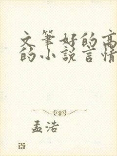 文笔好的高质量的小说言情已完结