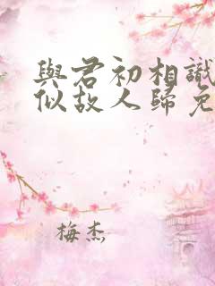 与君初相识·恰似故人归免费观看