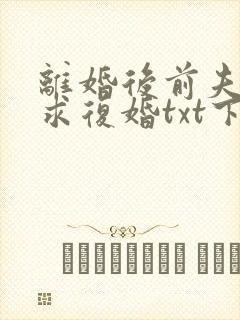 离婚后前夫哭着求复婚txt下载