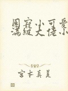 团宠小可爱成了满级大佬小说小说